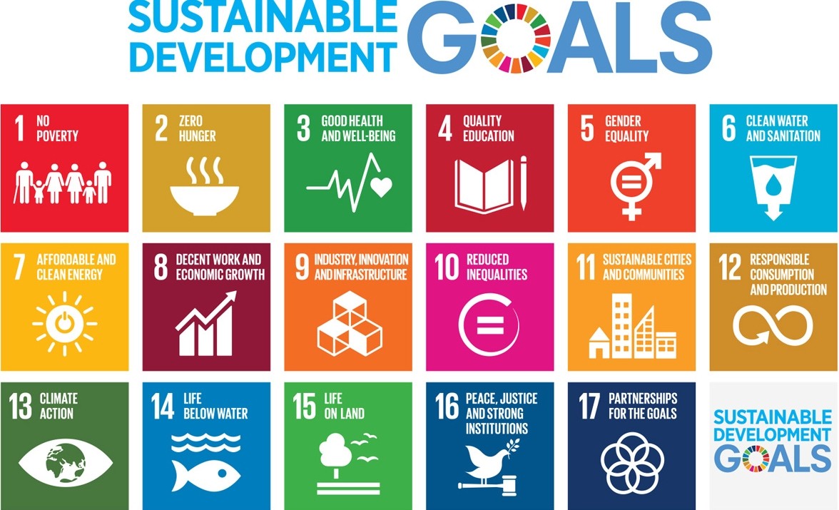 Sustainable development goals